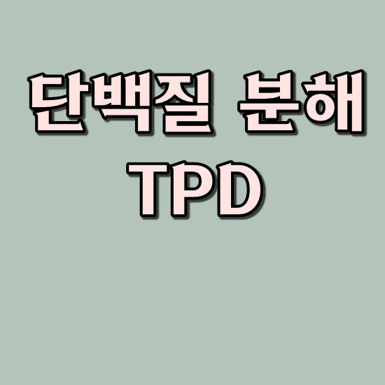 TPD 전망