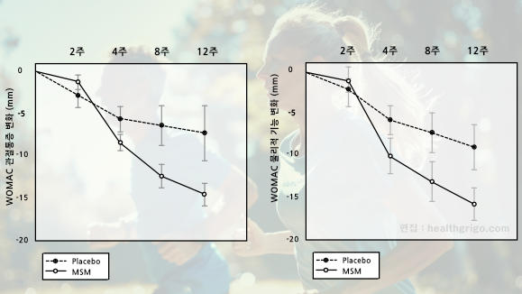 관절스타 MSM 효능 관절연골 건강