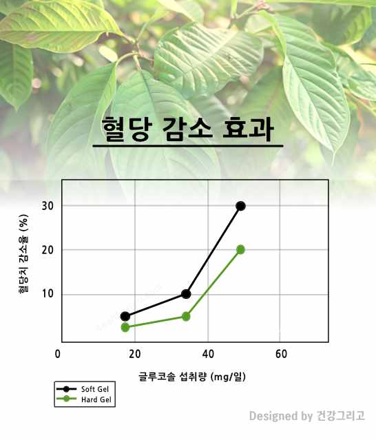 블러다인 혈당영양제 혈압영양제 바나바잎추출물 효능