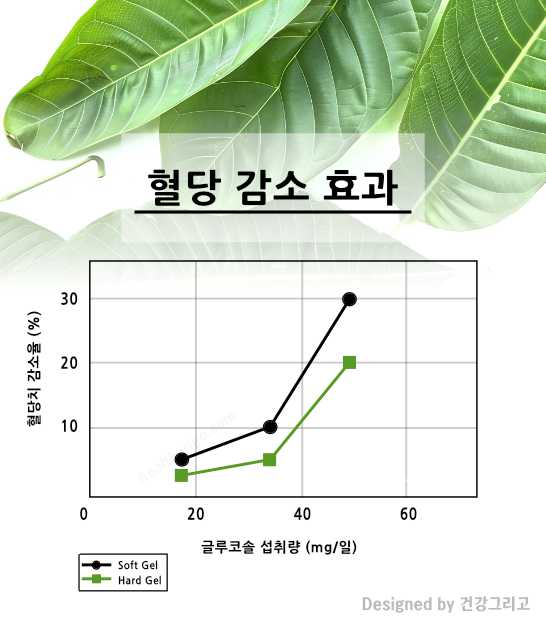 연세 청혈책 후기 혈당 감소 효과