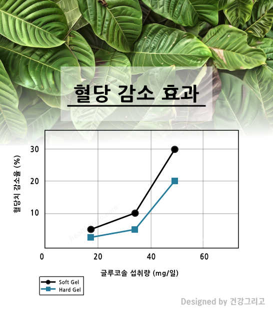 혈당 앤 굿 후기 효과