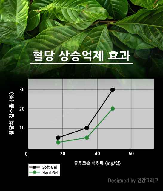 호당본 성분 바나바잎추출물 혈당 상승 억제 효과