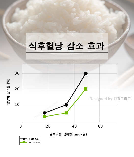 인슈케어 효능 당뇨약