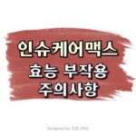 인슈케어 맥스 효능 부작용