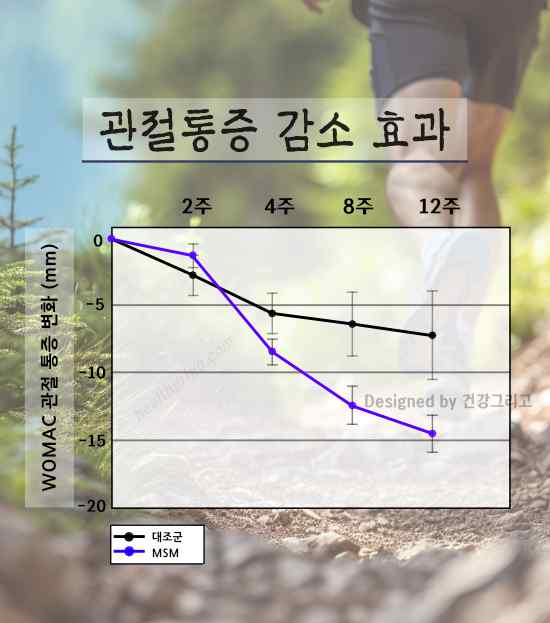 호관원 관연보 효과 관절 통증 감소