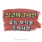 징코마그나인 후기 효과 부작용