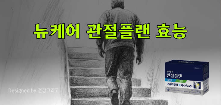 뉴케어 관절플랜 효능 후기 효과