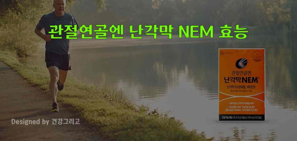 관절연골엔 난각막 NEM 효능