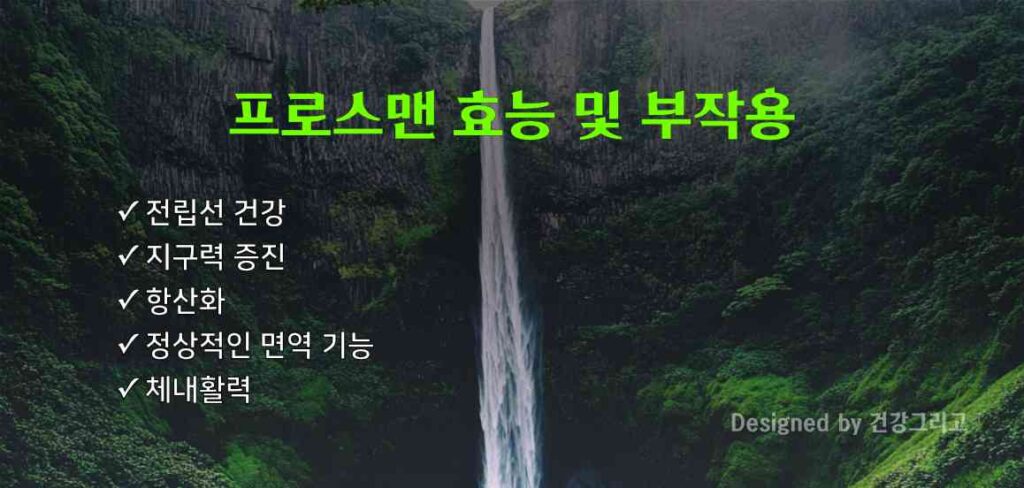 프로스맨 효능 부작용 전립선 영양제 성분
