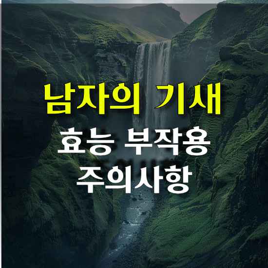 남자의 기새 효능 부작용 전립선 영양제 성분
