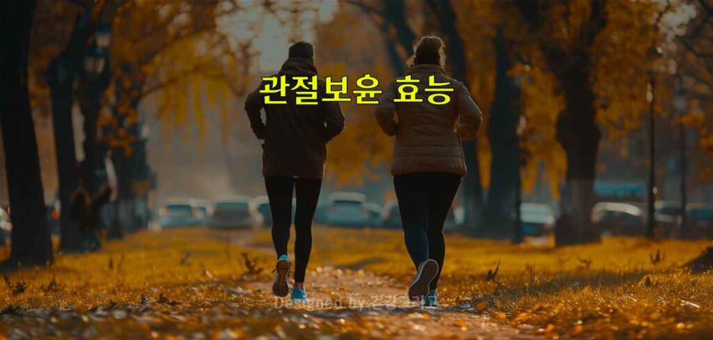 관절 영양제 관절보윤 효능 NAG 관절약