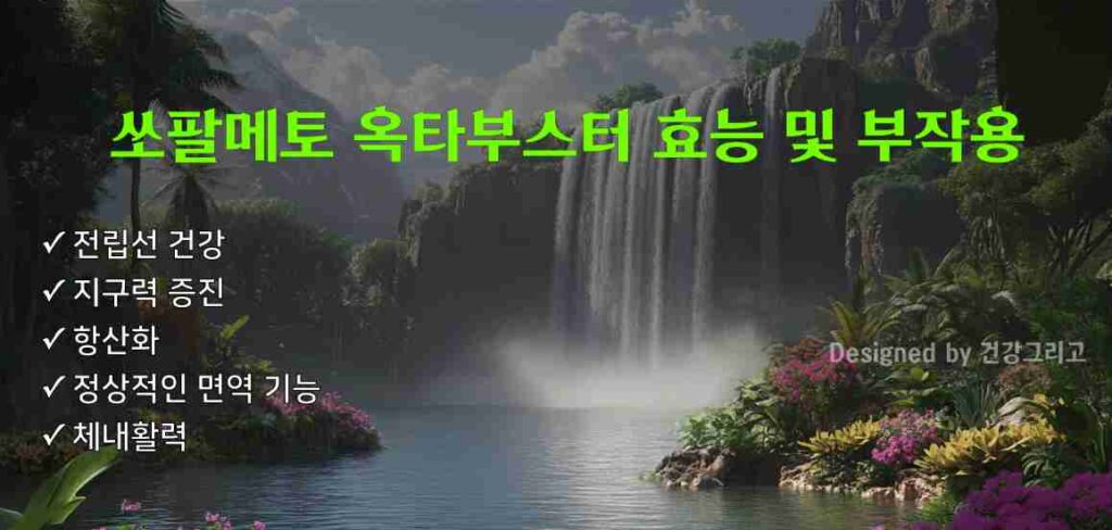 쏘팔메토 옥타부스터 효능 부작용 복용법 주의사항