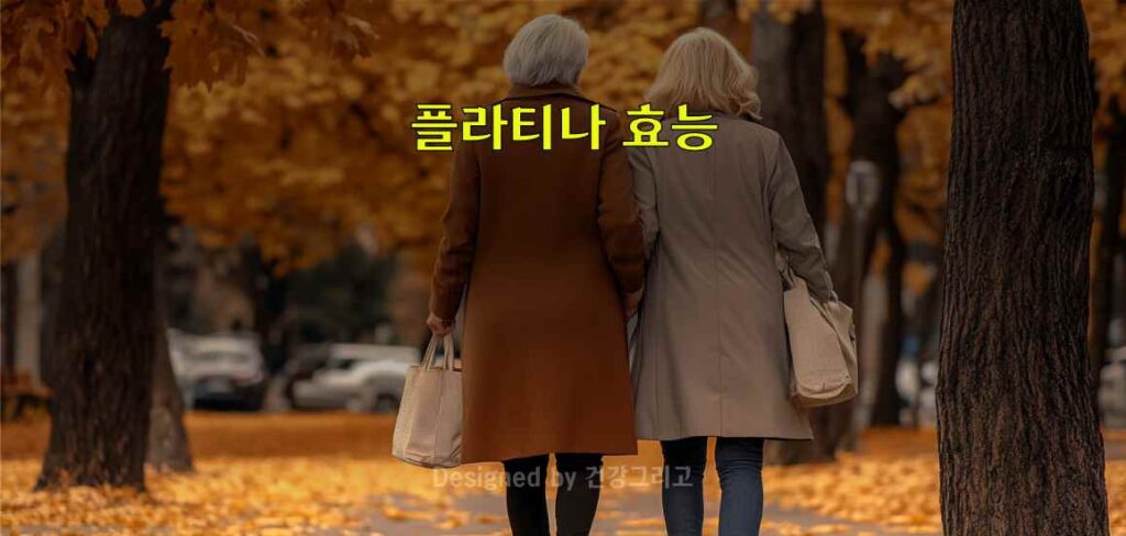 플라티나 효능