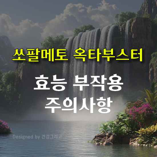쏘팔메토 옥타부스터 효능 부작용 성분 복용법
