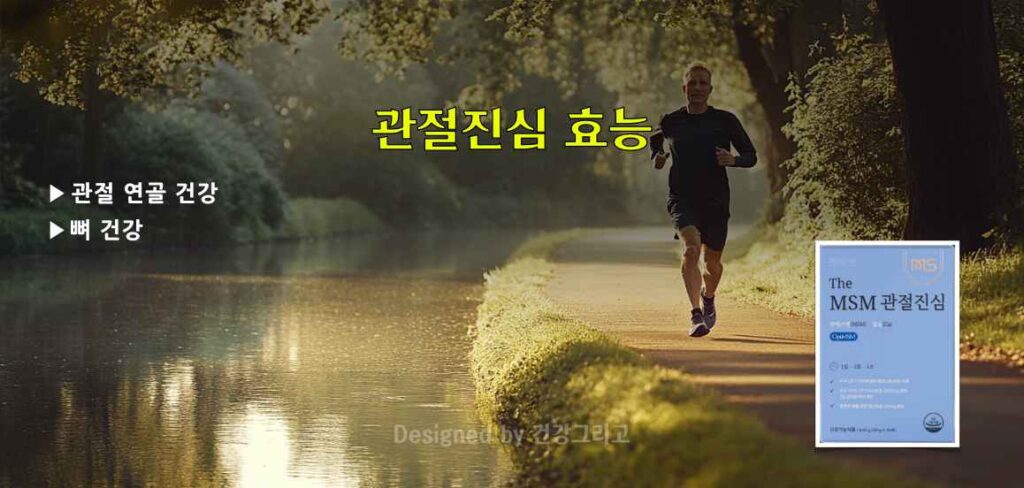 관절진심 효능 엠에스엠 관절염 개선 효과