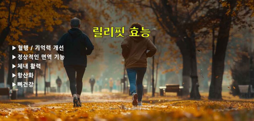 릴리핏 효능 