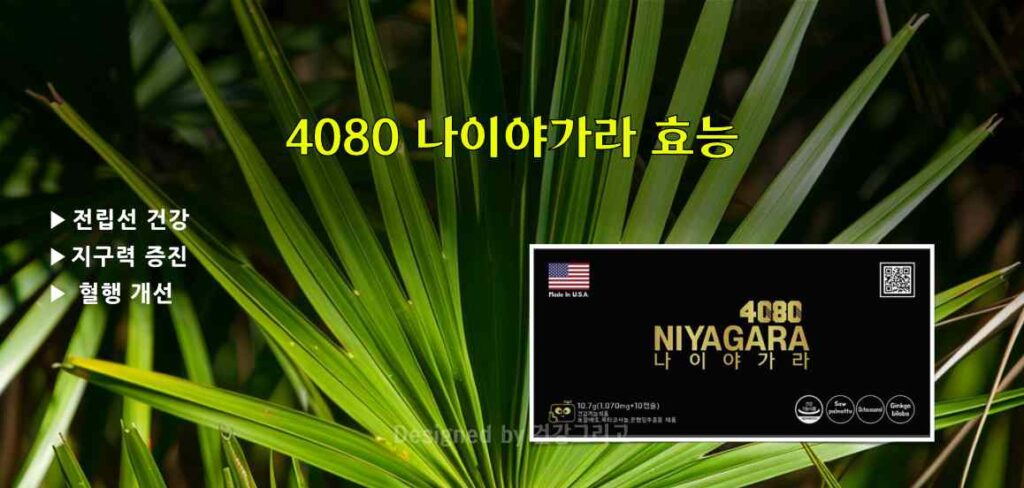 4080 나이야가라 효능 전립선 건강 야뇨 잔뇨 빈뇨