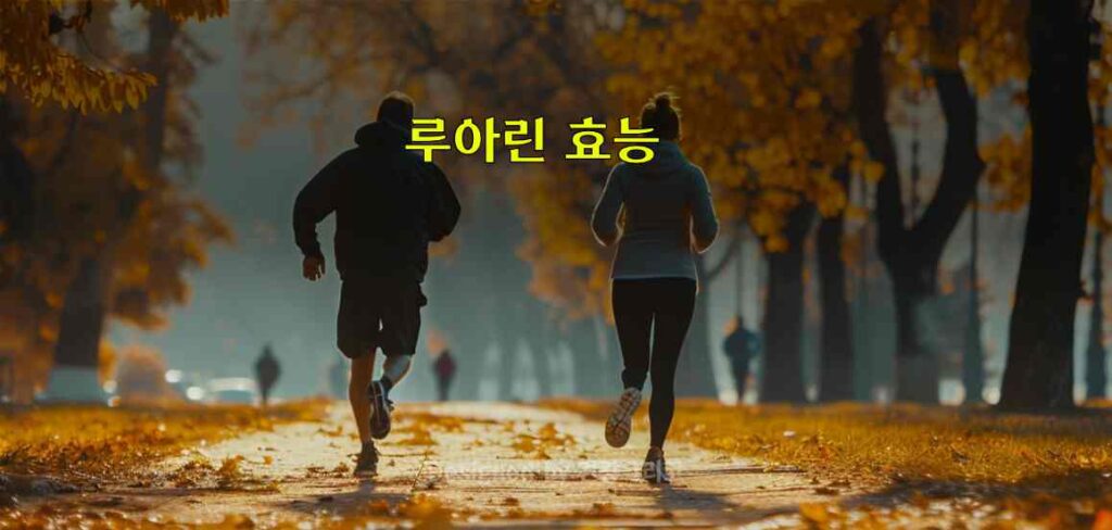 루아린 효능 부작용