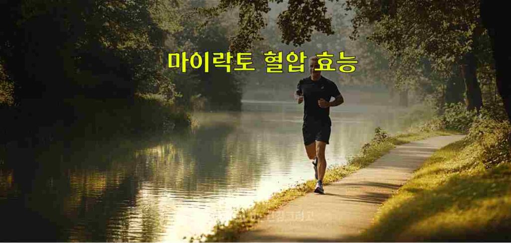 마이락토 혈압 효과 부작용