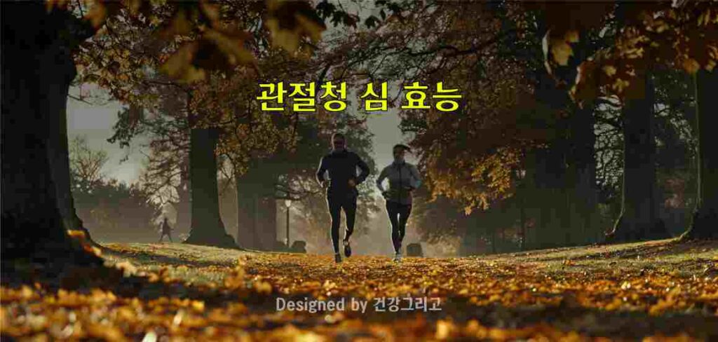 관절청 심 부작용 효과 성분 복용법