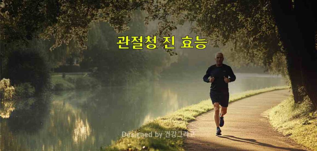 관절청 진 부작용 효능 성분