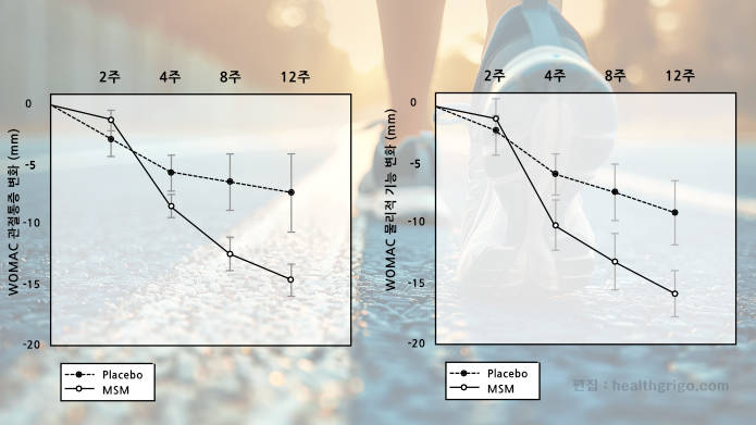 관절청 진 성분 MSM 관절약 효능