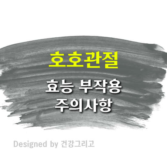 호호관절 터마신 부작용 효과 성분 관절약 관절염 영양제