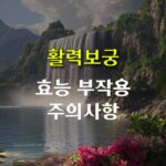 활력 보궁 효과 성분 부작용