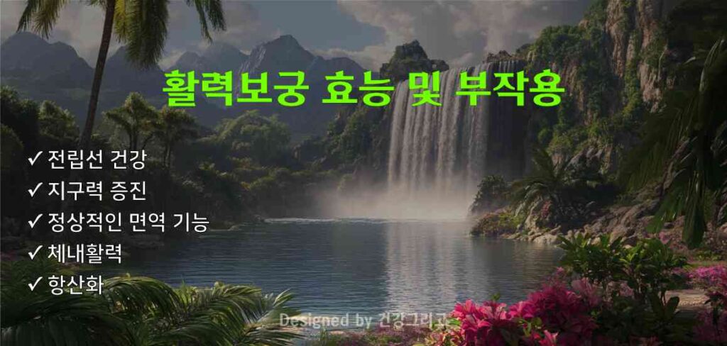 활력보궁 부작용 효과 성분 전립선