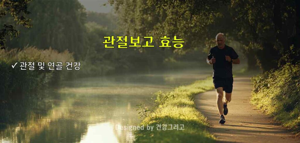 관절보고 부작용 효능 성분