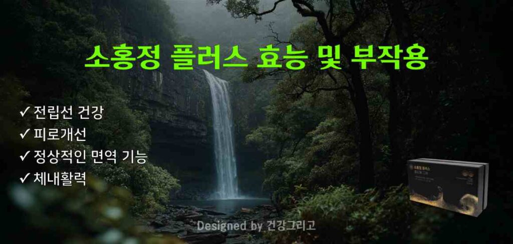 소홍정 플러스 부작용 효능 성분